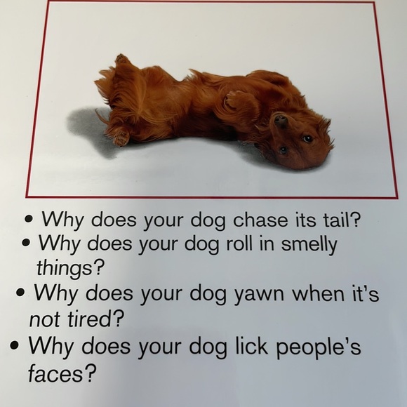 What is my dog thinking? An essential guide to understanding pet behavior - Book - Picture 2 of 5